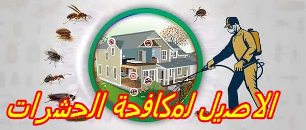 شركة مكافحة الناموس بالطائف