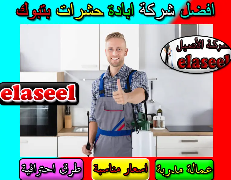شركة مكافحة حشرات بتبوك