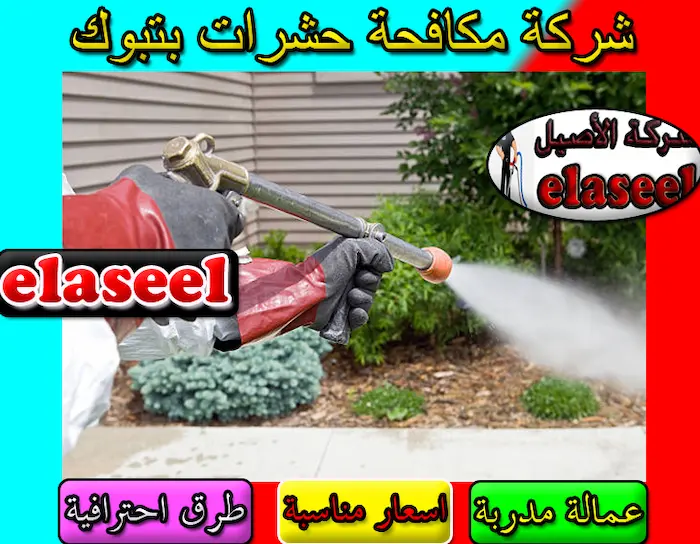 شركة مكافحة حشرات بتبوك