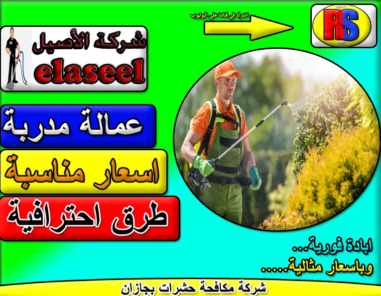 شركة مكافحة حشرات بجازان