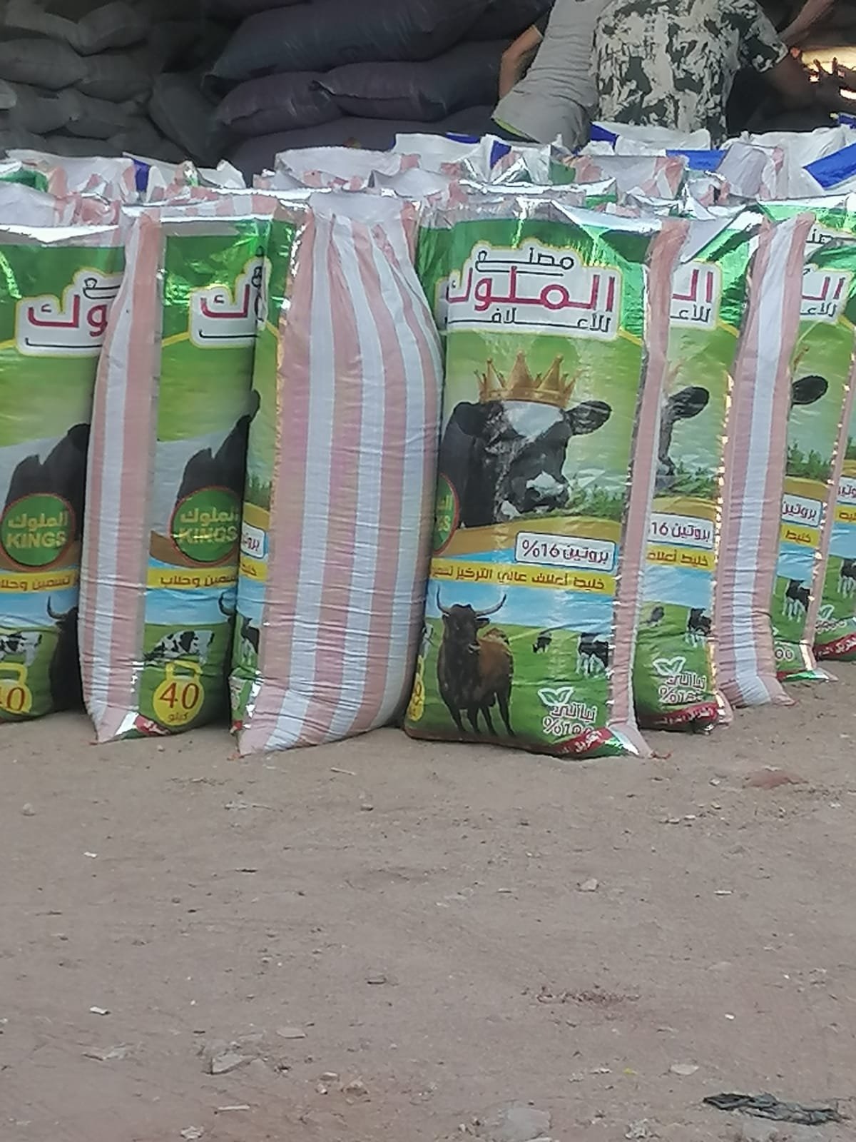 مصنع اعلاف مواشي بالمحلة الكبري