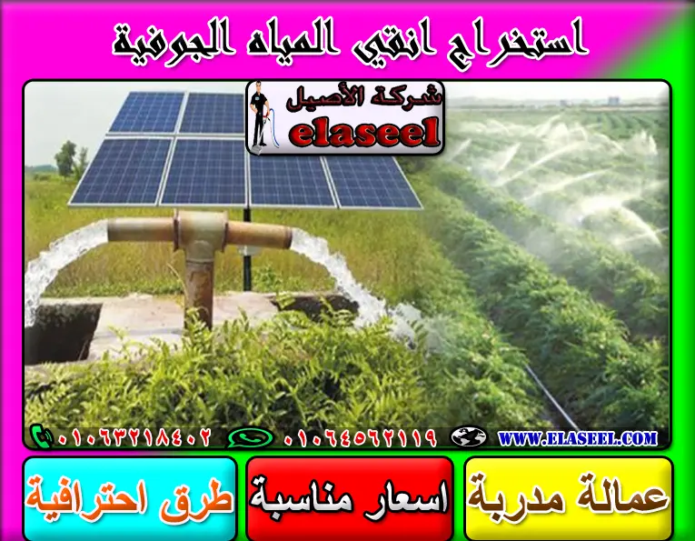 شركة دق طلمبات مياه