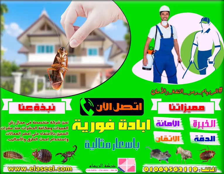 شركة مكافحة الفئران بمكة