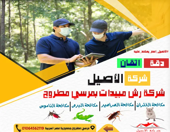 شركة رش مبيدات بمرسي مطروح