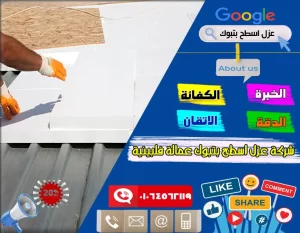 شركة عزل اسطح بتبوك عمالة فلبينية شركة عزل اسطح بتبوك عمالة فلبينية