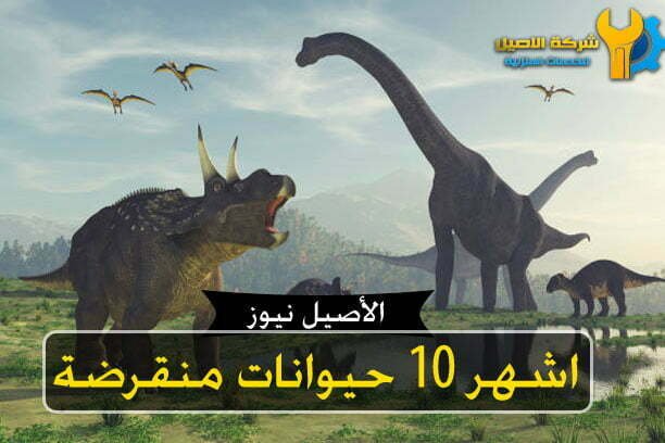 حيوانات منقرضة